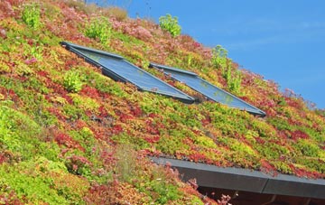 Whitgreave living roof systems