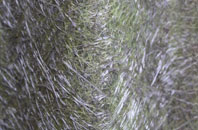 Whitgreave fibreglass roof work